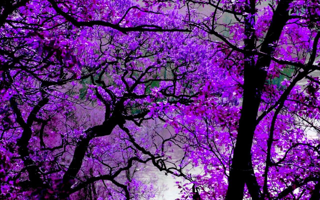 Appartamento Violet #Colony_White_Tower Salonicco Esterno foto